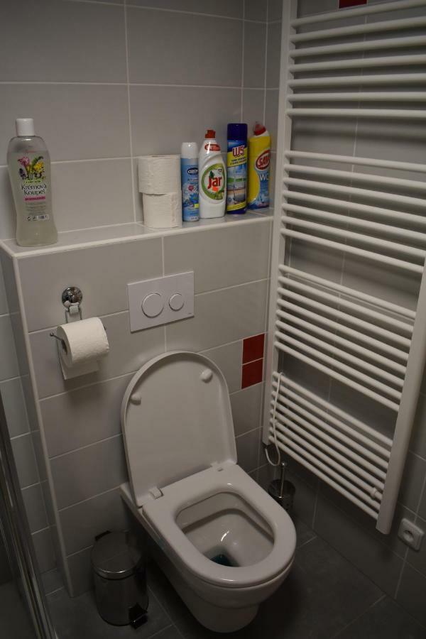 Apartma Fara Loučná nad Desnou Dış mekan fotoğraf